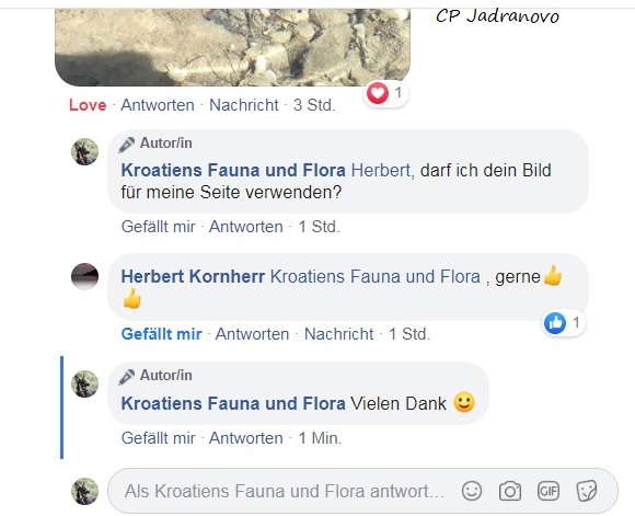 Datei:200313 Erlaubnis Ort.jpg