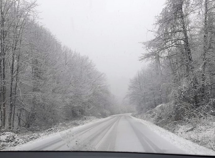 Datei:15 210110 64.jpg