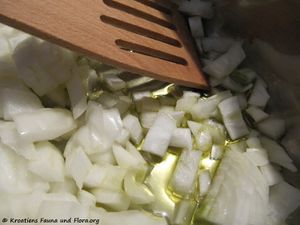 Zwiebel, Würfel 120228 15 txt.jpg