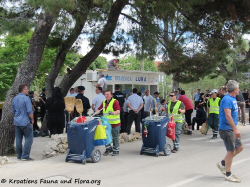 140530 3776 Vir Ribarnica Luka k.jpg