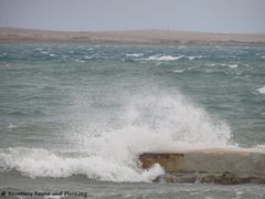 29.10.2018 Monsieur Jugo zeigt es allen