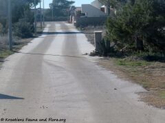 Kein Reif sondern Salz, das auf der Straße liegt