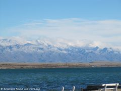 Winterbura Vir 12/2014