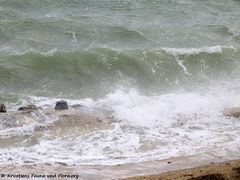 180321 11348 txt.jpg