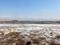 180227 Salziger Schaum 2.jpg