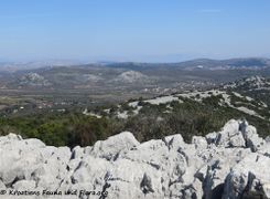 03/2019 Blick ins Hinterland