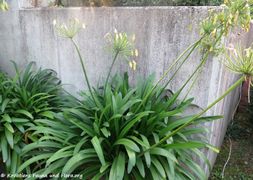 Im Herbst, Schiltern 10/2018