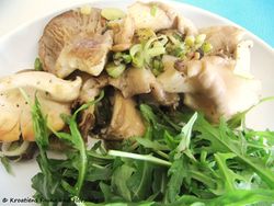 Austernpilze 170411 7089 k.jpg