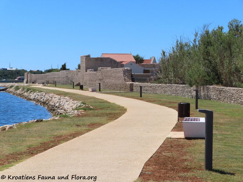 Datei:200708 1050.JPG