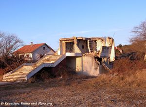 Pfarrkirche alt 170101 9630.jpg