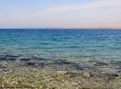 18.10.2018 - Madame Bura tritt in den Streik - oder hat sie etwa ein Tête-à-tête mit Monsieur Jugo?