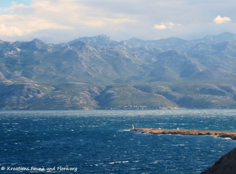 Datei:180626 14261 Paski most.jpg