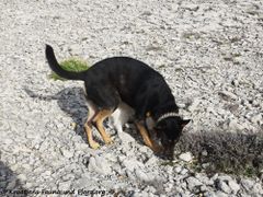 Die beiden Spezialisten beim Meinungsaustausch