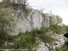 Megalithen, Mauer im Osten, 10/2019