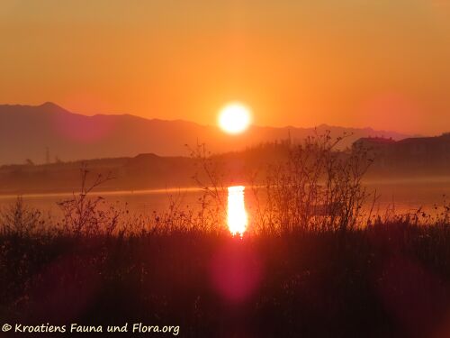 210914 2658 Sabunkie.jpg