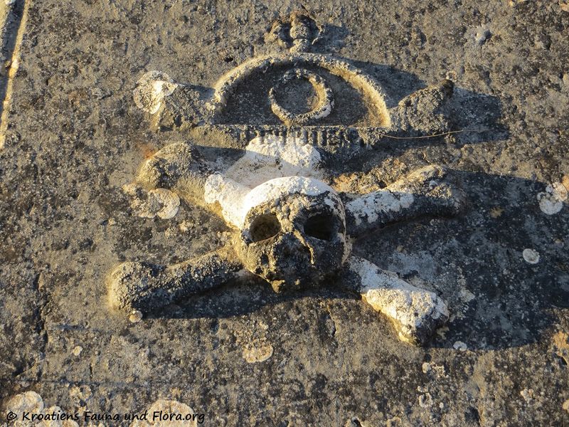 Datei:Serb Friedhof Tem 170101 9617.jpg