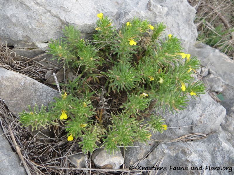 Datei:190412 0650 k.jpg