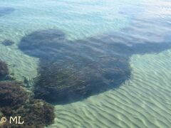 Posidonia 2010. Heute an dieser Stelle nicht mehr existent