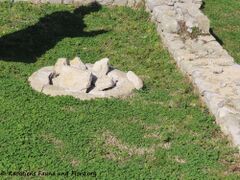 Mittelalterliche Müllentsorgung