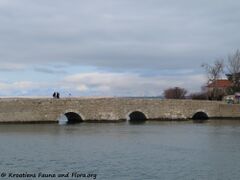 Die Südbrücke – donja gradska vrata