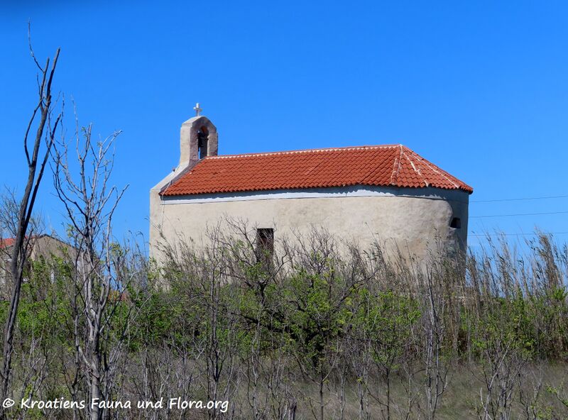 Datei:220417 2574.jpg