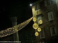 171124 10039 txt.jpg