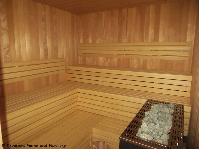 Datei:1190307 0265 k.jpg