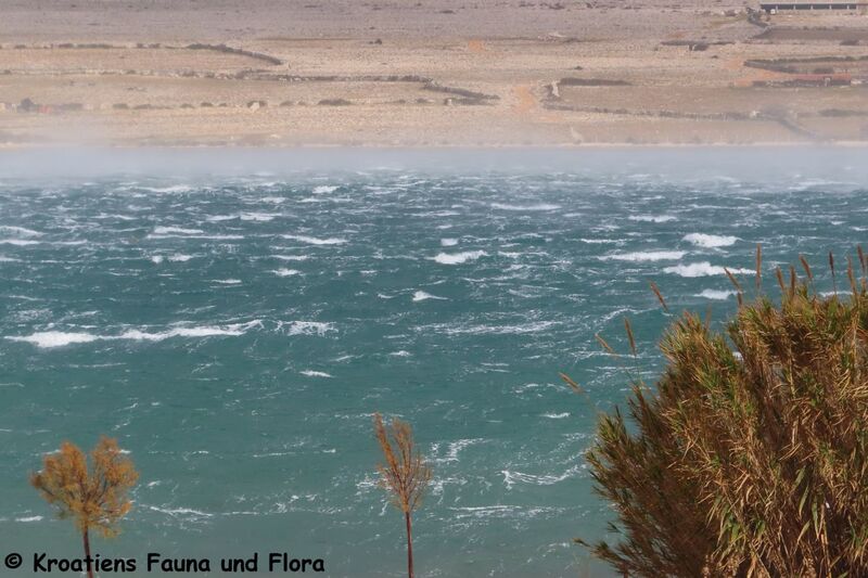 Datei:241220 4137.JPG