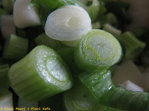 Lauchzwiebel 110924 08 K.JPG