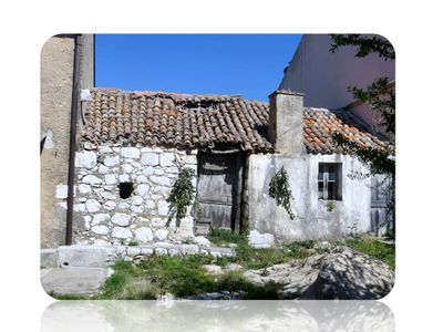 Wiki Magische Pflanzen.jpg