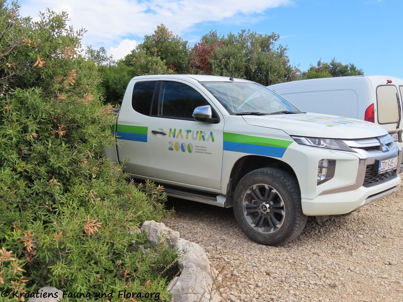 Datei:210918 2670.jpg