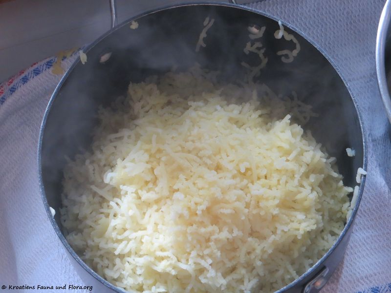 Datei:180221 10920 txt.jpg