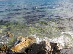 180108 10193 txt.jpg