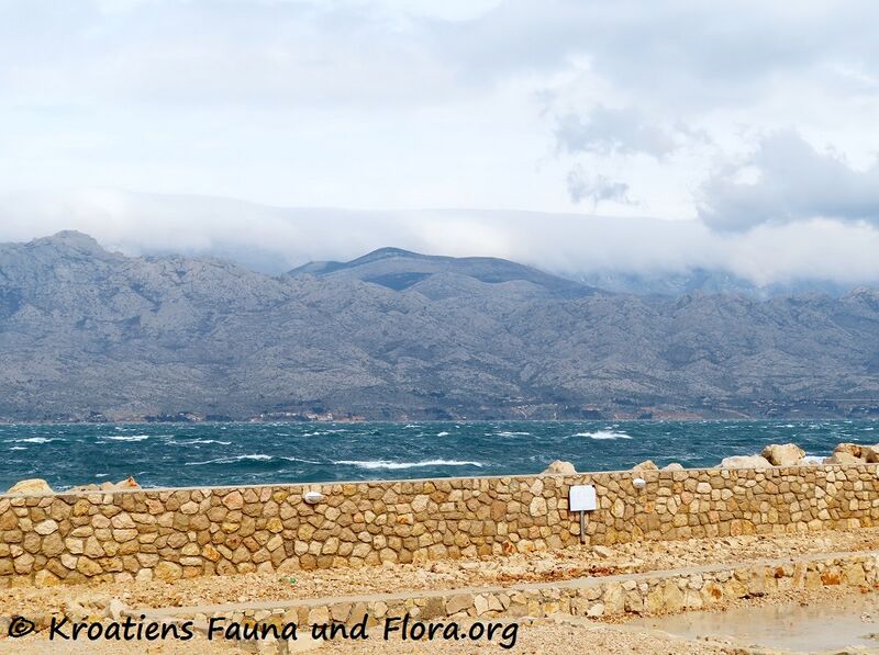 Datei:2301404 3723 Ražanac k.jpg