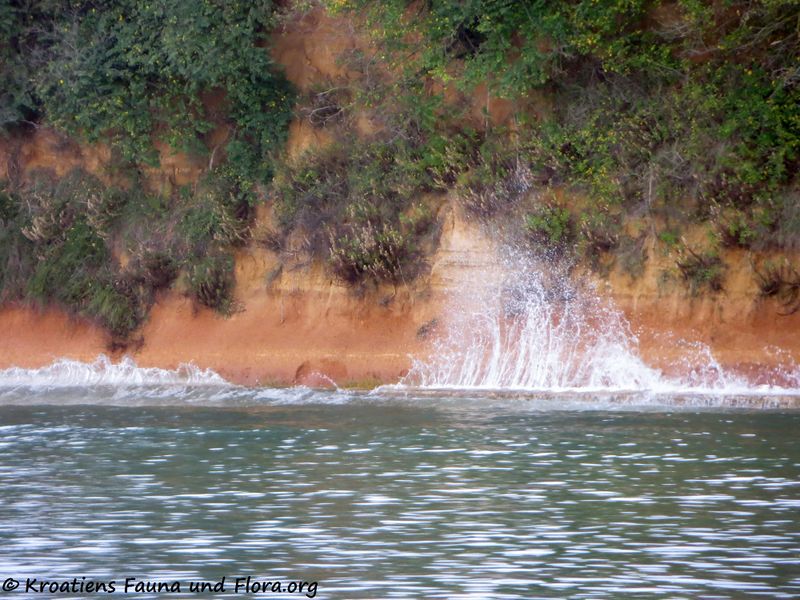 Datei:1 Wetter 191109 2162.jpg
