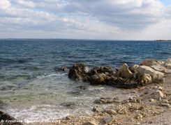 180108 10189 txt.jpg