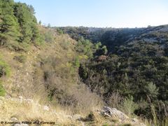 Blick zum Fluss Kličevica