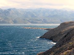 180626 14265 Paski most.JPG