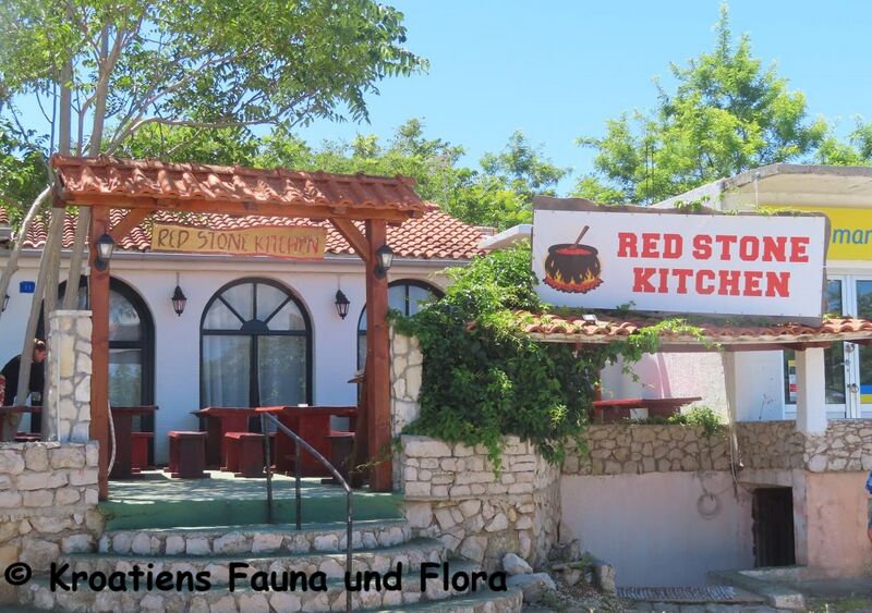 Datei:240601 8031.JPG