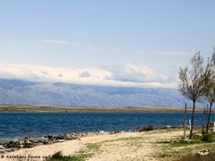 180417 12180 txt.jpg