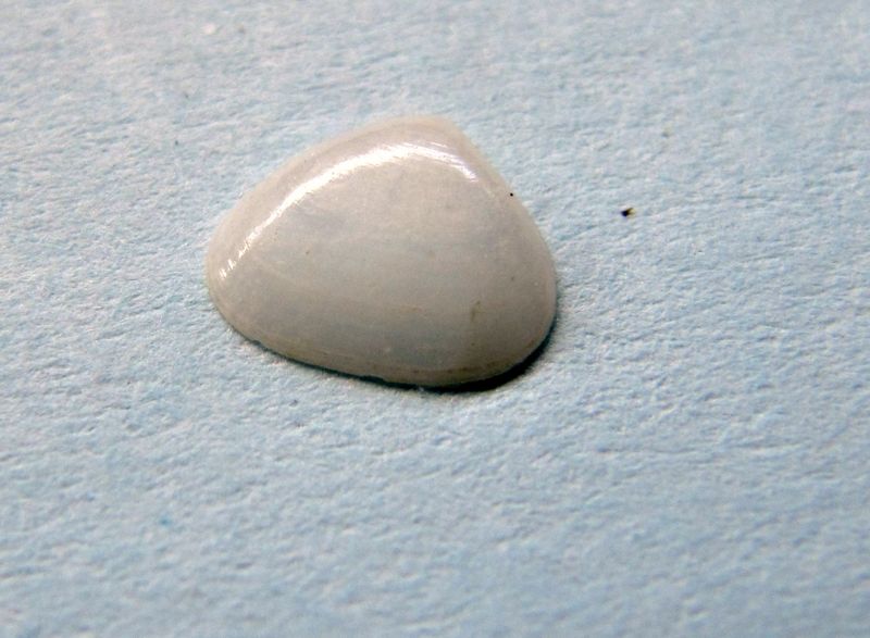 Datei:Born geoff Vir 110513 3791.jpg