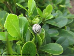 Zadar Flughafen 11/2018