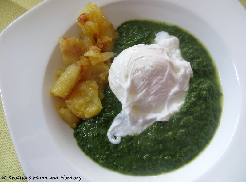 Datei:180327 113674 txt.jpg