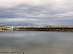 180405 11844 txt.jpg