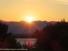 07.07.2022 - Wer weckt mich denn?