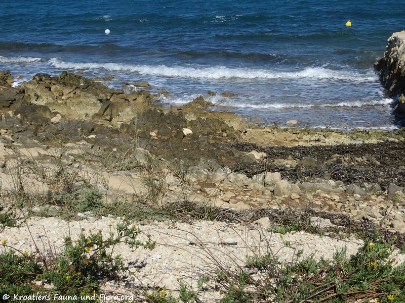 Datei:180925 14812 k.jpg