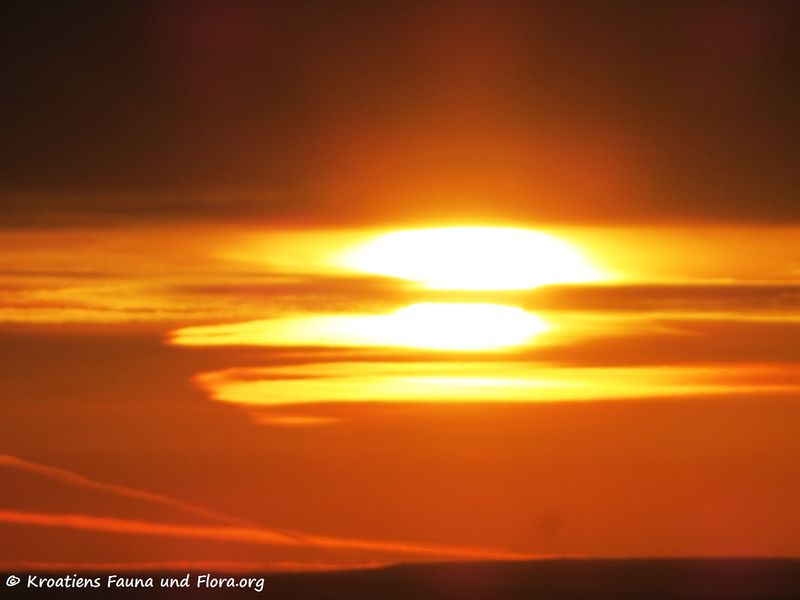 Datei:190120 0032 k.jpg