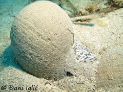 Đani Iglić , Zlarin 01/2020, 27 Meter Tiefe