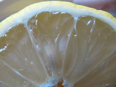 Die Segmente, Zadar 05/2011