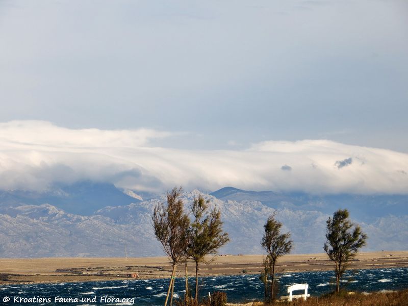 Datei:181127 15745 k.jpg